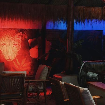 Noahs Ark Vandrarhem Amphoe Koksamui Exteriör bild
